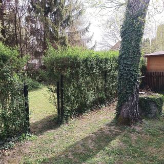 Nyírfa Vendégház Fadd (5)