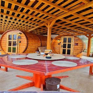 Casa Vlad De Săliște Săliştea de Sus (3)