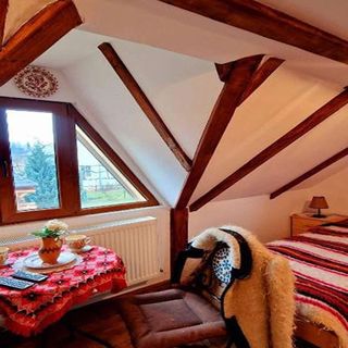 Casa Vlad De Săliște Săliştea de Sus (5)