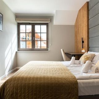 Apartament Dream View SPA Szklarska Poręba (5)