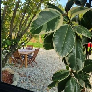 Casa de vacanță Api Haus Avrig (5)