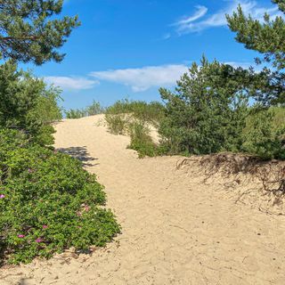 Apartman Gdańsk - PPL907 (4)