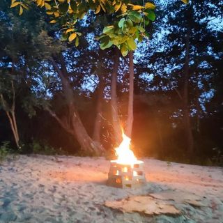 Pensiunea Dumbrava Minunată Peșteana (4)