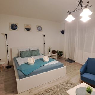 Wanderer Forest Apartman Debrecen (3)