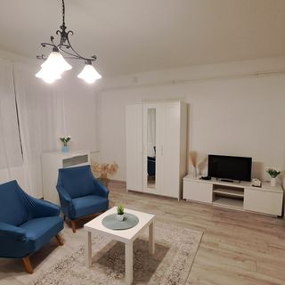 Wanderer Forest Apartman Debrecen (4)