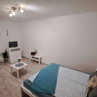 Wanderer Forest Apartman Debrecen (5)