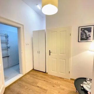 Apartament Plopilor Studios Sibiu (5)