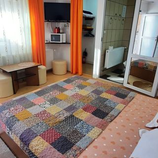 Casa Horga Busteni (5)