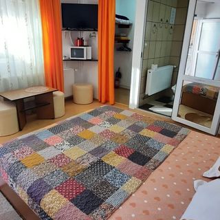 Casa Horga Busteni (5)