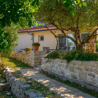 Apartment Maslina Kneža (3)
