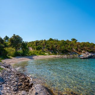 Apartment Maslina Kneža (5)