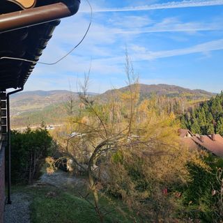 GŁOWĄ W CHMURACH (2)