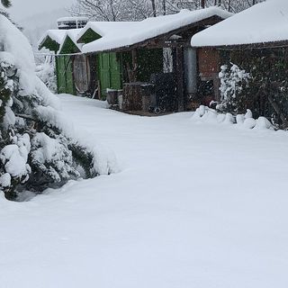 Casa Vânătorului Buzăiel (4)