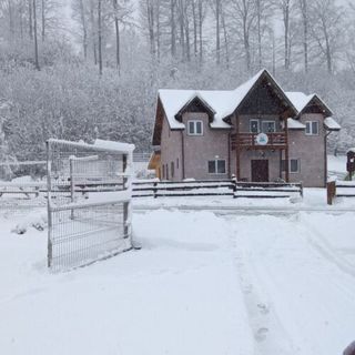 Casa Vânătorului Buzăiel (5)