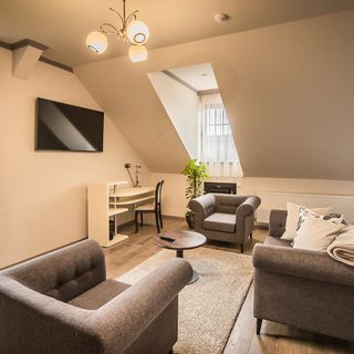 Pensiunea Kokel Dumbrăveni (4)