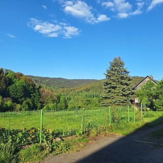 Penzion Neuland Kryštofovo Údolí (3)