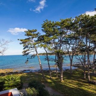 Apartman Valdepian Savudrija (5)
