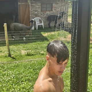 Alpaka Bakonya Svábház (2)