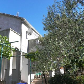 Apartment Ivan Biograd (5)