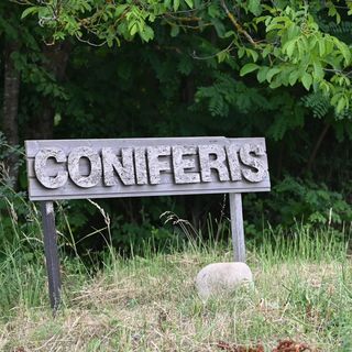 Coniferis Retreat Tomnatic (2)