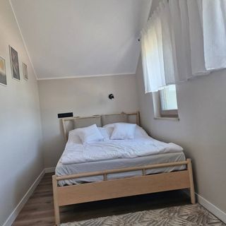 Cztery Pory Roku Boszkowo-Letnisko (5)