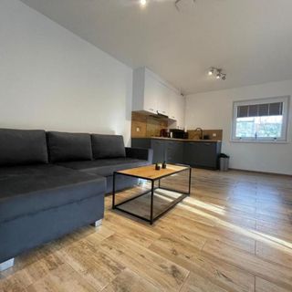 Domki Wiślańska Dolina Wisła (5)