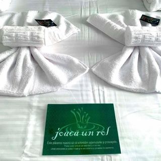 Oltenia Studio Decebal Residence Craiova (2)