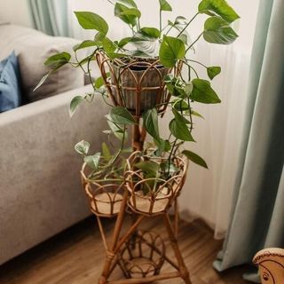 Mizerna Cicha Noclegi Blisko Natury (3)