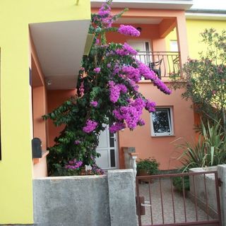 Apartments Midi Petrcane (4)