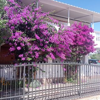 Apartments Marijan Drage (4)