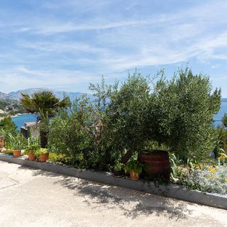 Apartman Omiš - CSC763 (2)