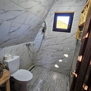 La Cabana lui Matei Paltin (3)