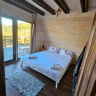 La Cabana lui Matei Paltin (4)