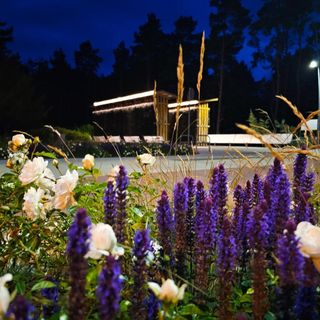 visit baltic - Rezydencja Bursztyn RB34 (5)