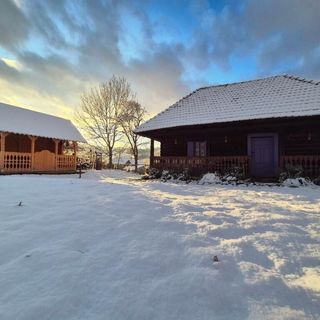 Casa cu Lavandă Petroşani (3)