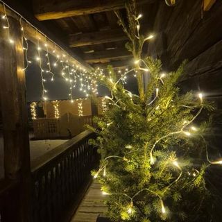 Casa cu Lavandă Petroşani (5)