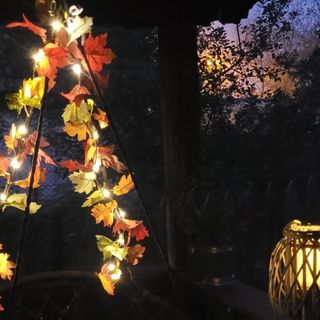 Casa cu Lavandă Petroşani (4)