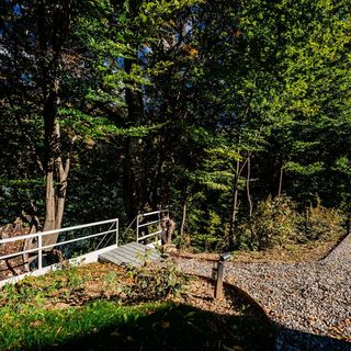 Vila Nura Teșila (3)