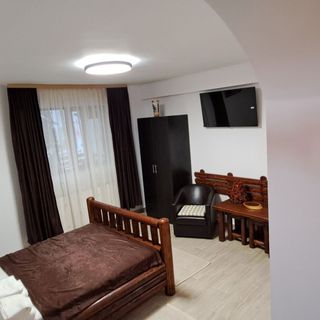 Alina's Apartament Sinaia (3)