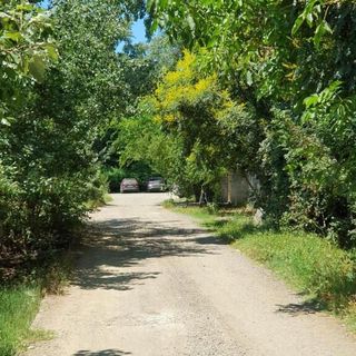 Casa La Valetta Arad (4)