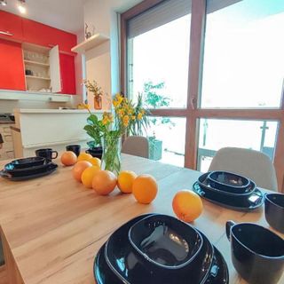 Apartament Słodki Pomarańcz Toruń (4)