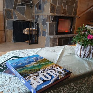 Domek Tatra West Farm Dzianisz (5)