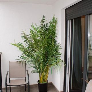 Apartament Bawarczyków by Rentoom Toruń (4)