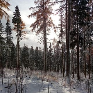 Ski apartmán pod Zadovem (5)