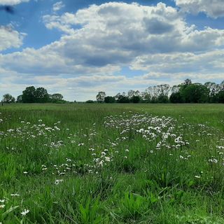 Agroturystyka Żubr (5)