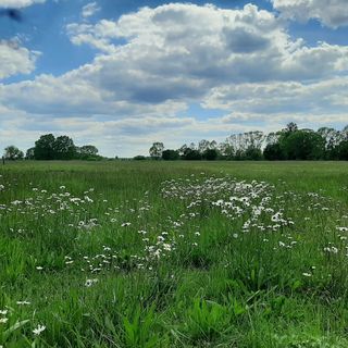 Agroturystyka Żubr (5)