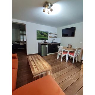 Apartament Winnica by Rentoom Toruń (2)