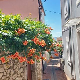 Apartments Izabela Crikvenica II (5)