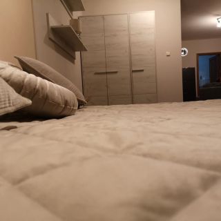 City Apartmans Dabas (3)