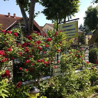 Otis Apartman Siófok (2)